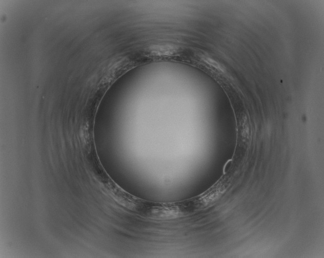 X0000073720559200608171206