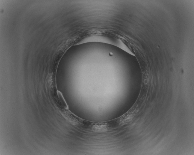 X0000073720560200608171206