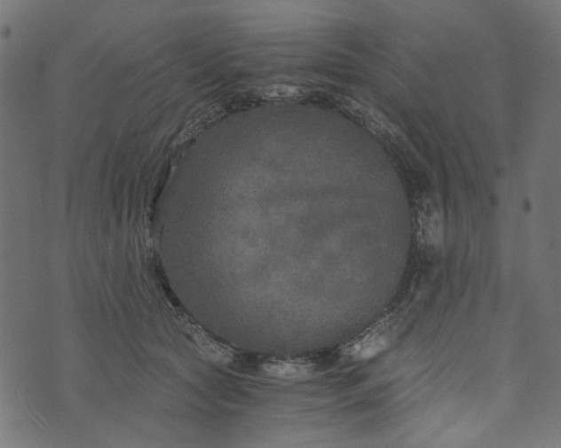 X0000073720561200608171206