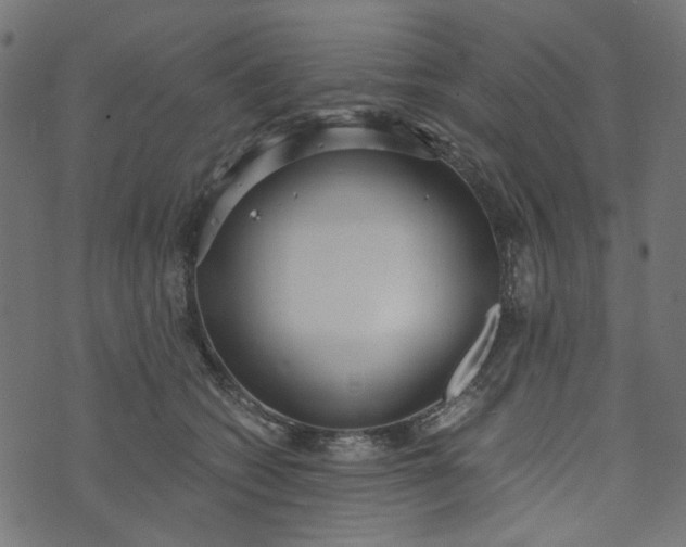 X0000073720562200608171206