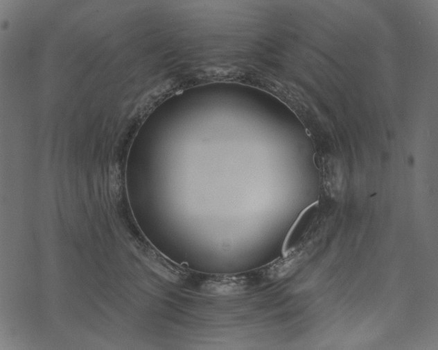 X0000073720563200608171206