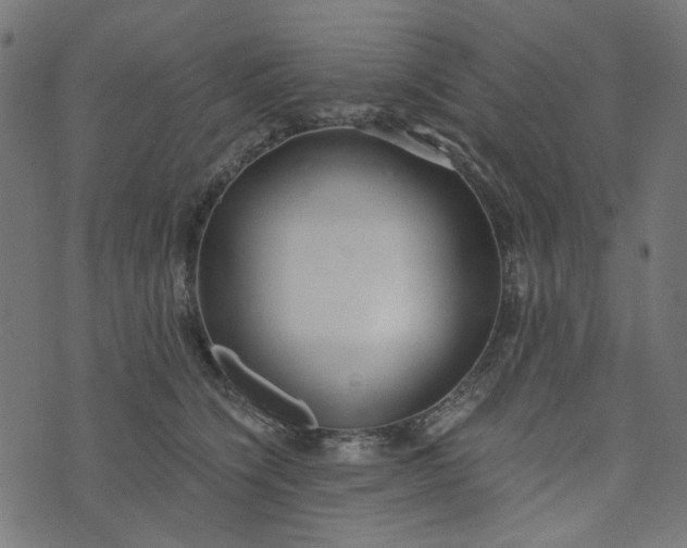 X0000073720564200608171206