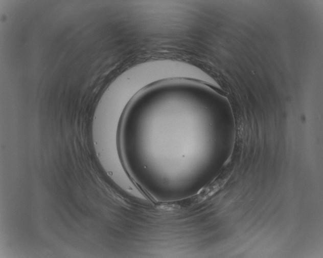 X0000073720566200608171206