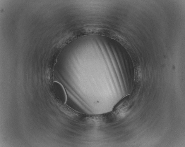 X0000073720567200608171206