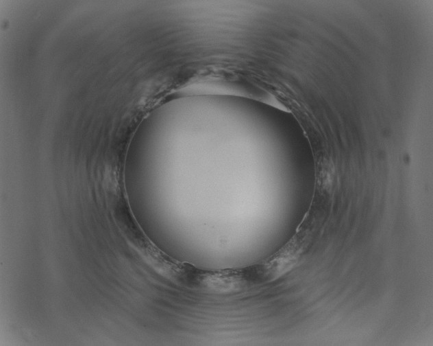 X0000073720568200608171206