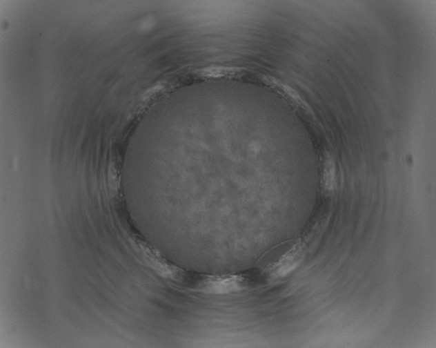 X0000073720569200608171206