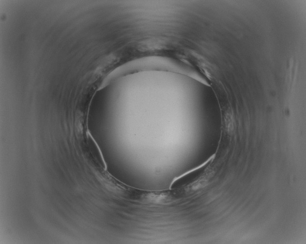 X0000073720570200608171206