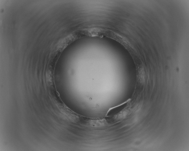 X0000073720571200608171206