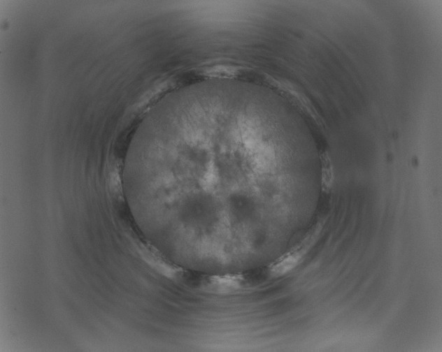 X0000073720573200608171206