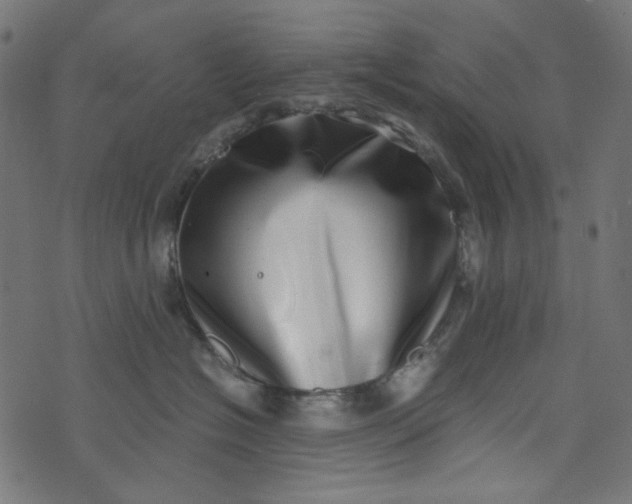 X0000073720574200608171206