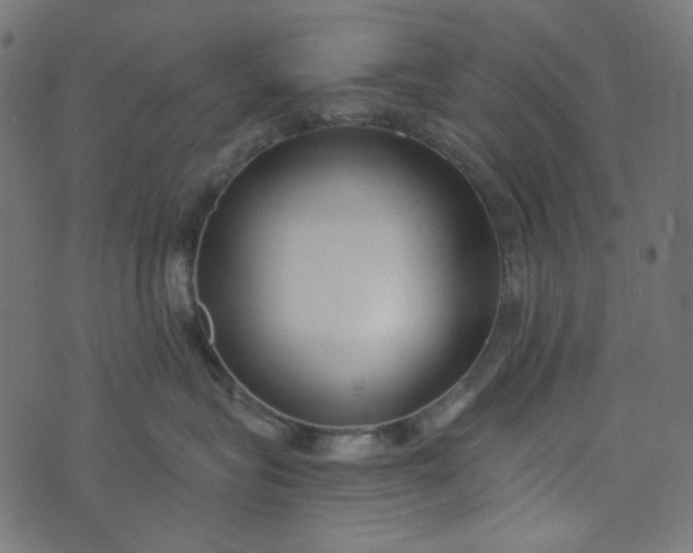 X0000073720575200608171206