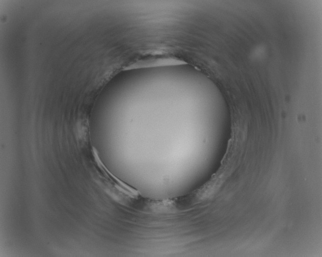 X0000073720576200608171206