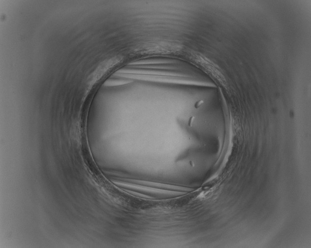 X0000073720578200608171206