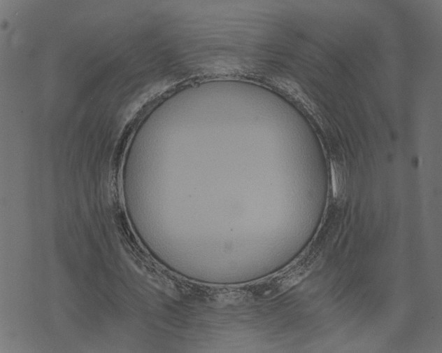 X0000073720579200608171206