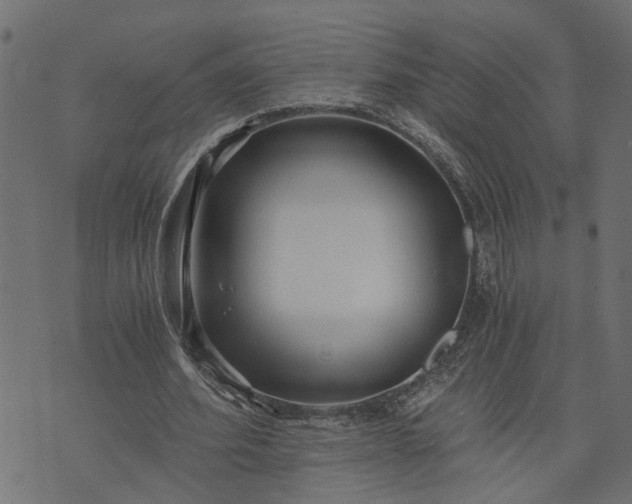 X0000073720580200608171206