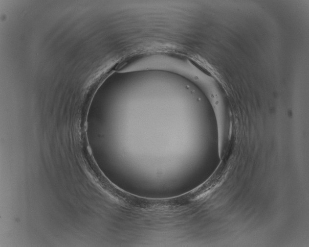 X0000073720581200608171206