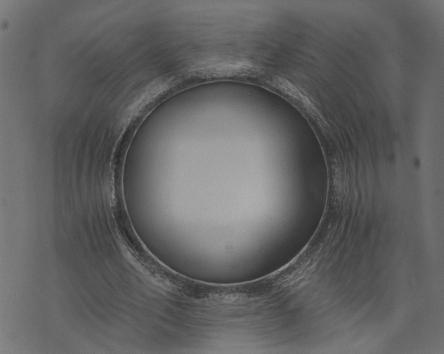 X0000073720582200608171205