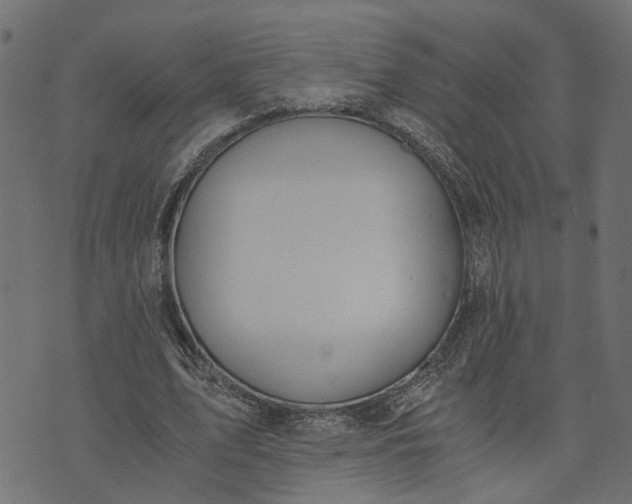 X0000073720583200608171205