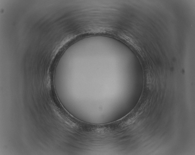 X0000073720584200608171205