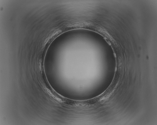 X0000073720585200608171205