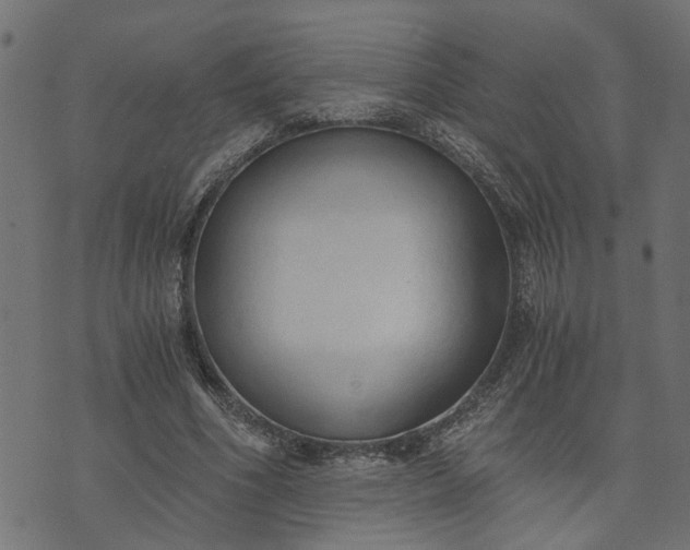 X0000073720586200608171205