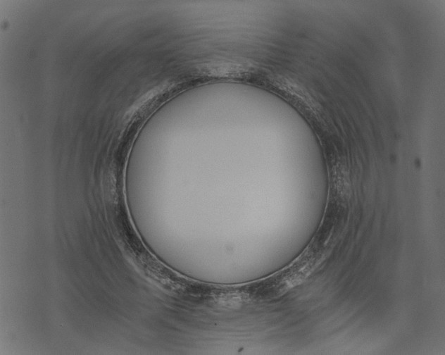 X0000073720587200608171205