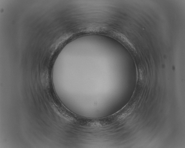 X0000073720588200608171205