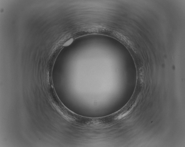 X0000073720589200608171205