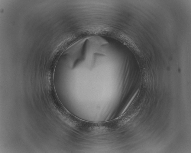 X0000073720590200608171205