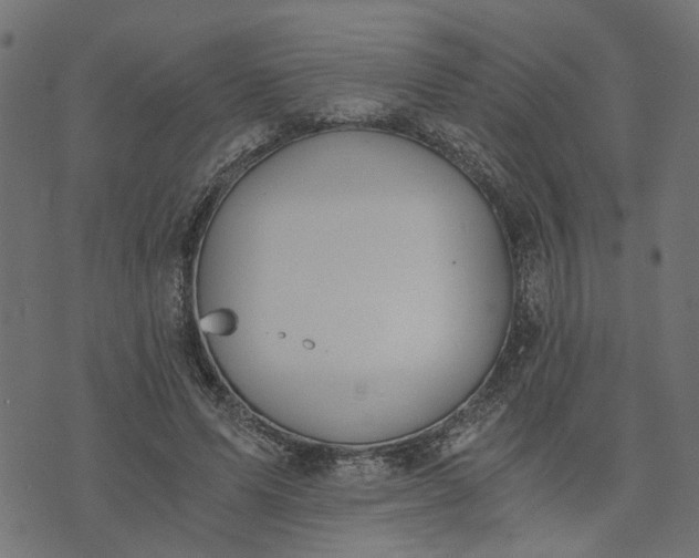 X0000073720591200608171205