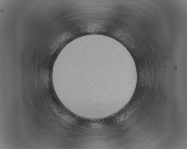 X0000073720592200608171205