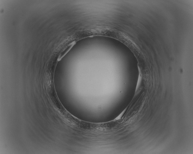 X0000073720593200608171205