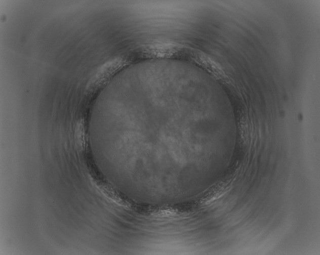 X0000073720594200608171205