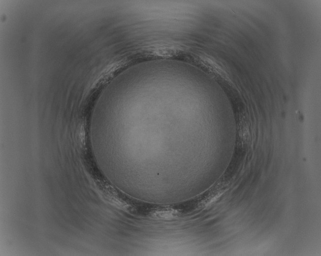 X0000073720595200608171205