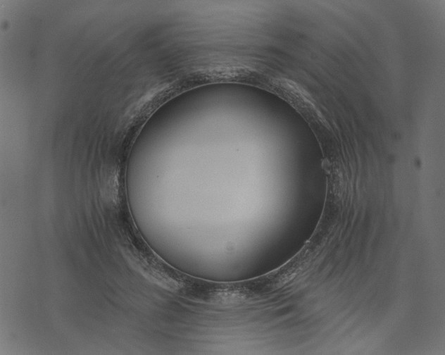 X0000073720596200608171205