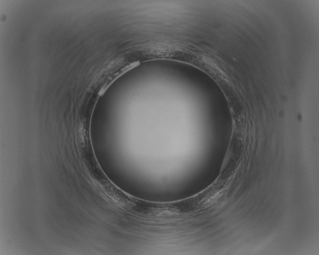 X0000073720597200608171205