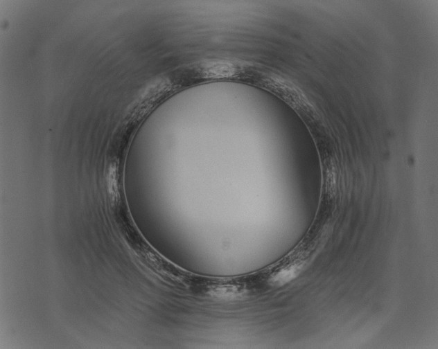 X0000073720598200608171205