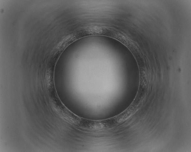 X0000073720600200608171205