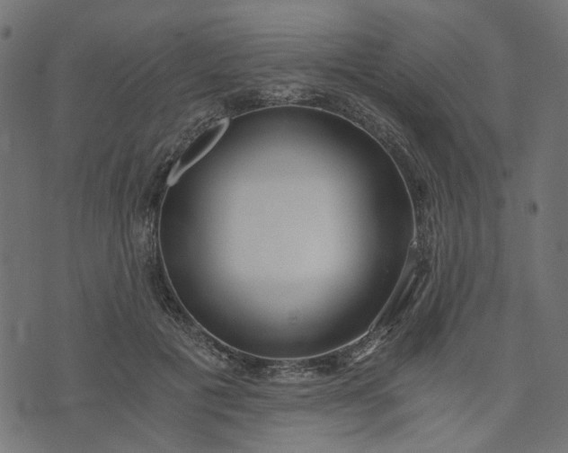 X0000073720601200608171205