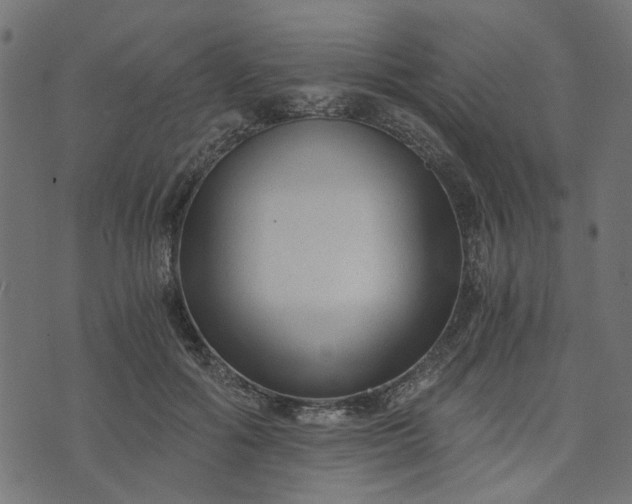 X0000073720602200608171205