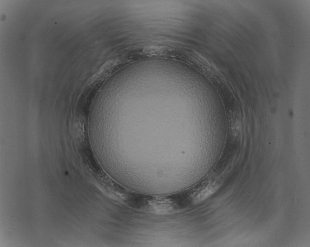 X0000073720603200608171205