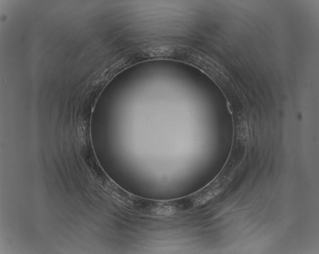 X0000073720604200608171205