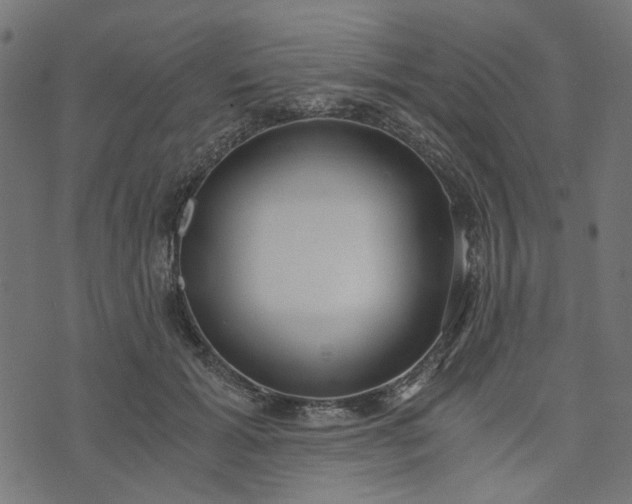 X0000073720605200608171205