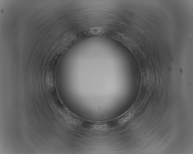 X0000073720606200608171205