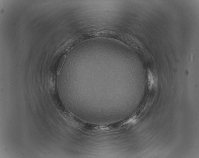 X0000073720607200608171205