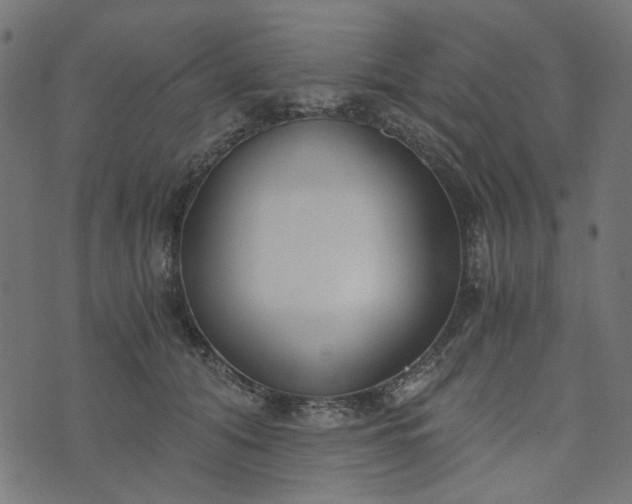 X0000073720608200608171205