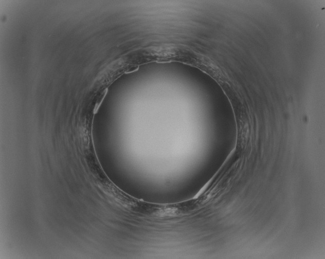 X0000073720609200608171205