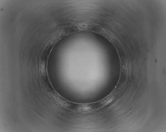 X0000073720610200608171205