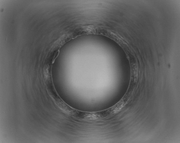 X0000073720611200608171205