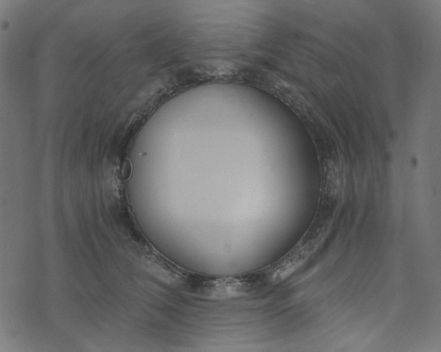 X0000073720612200608171205